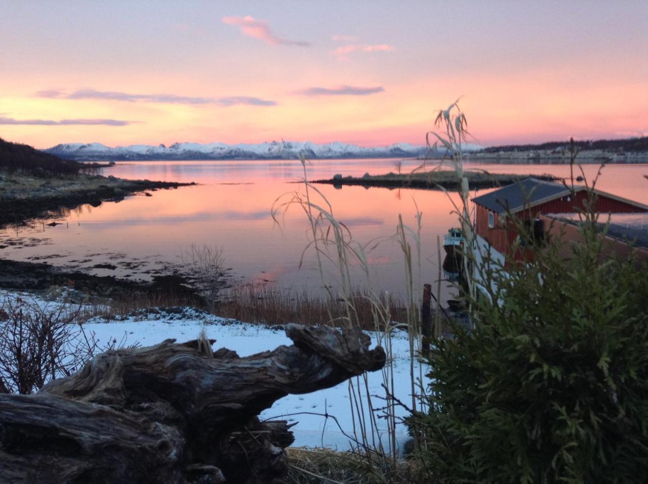 Prima Lofoten Myrland Exterior foto