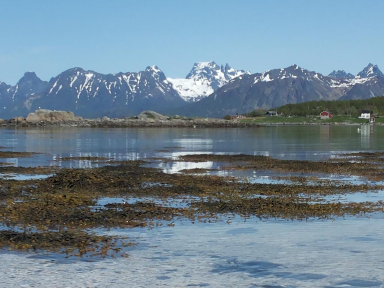Prima Lofoten Myrland Exterior foto